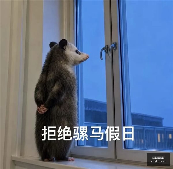 红魔电竞手,机升级,英雄联盟版,银河娱乐官网,银河娱乐官方网站,银河娱乐登录入口